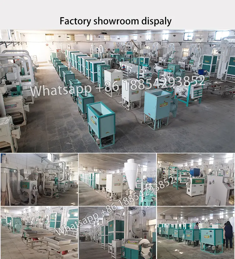 Factory showroom display.webp